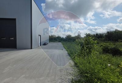 DE INCHIRIAT Hala industriala 596mp | Teren 2500mp | Buftea - 7