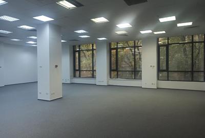 Piata Rosetti inchiriere spatii birouri - 4