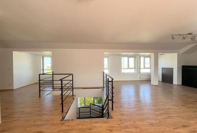 Apartament 4 camere, deosebit – mansardă spațioasa - 4