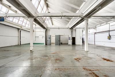 Hală Arad 442 mp - 1