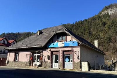 Casă individuală cu 7 camere în Bran