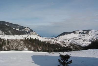 Sat Pestera,  Rezervatia Piatra Craiului, Brasov, Casa  plus teren 10 621 m - 2