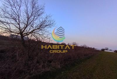 Teren Adunatii Copaceni 1500 mp Strada Ulmului Ideal Case-Vile - 5