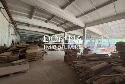 Inchiriere complex industrial multifunctional – pozitie strategica, Targu Jiu - 5