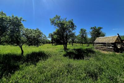 Casa de poveste, incarcata de traditie si istorie, Vad - Fagaras - 25