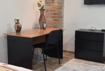 Vila de vanzare cu teren generos zona Ciolpani - 23
