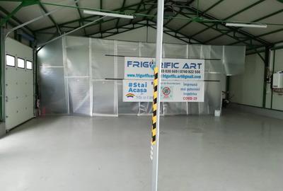 Spațiu industrial, 400 mp în Depozitelor