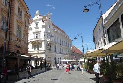 Inchiriem 300 mp spatiu comercial cu acces direct stradal N.Balcescu - 18
