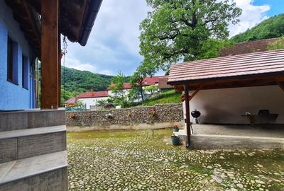 Casa rustica \ deosebita \ Marginimea Sibiului \ Fantanele - 3