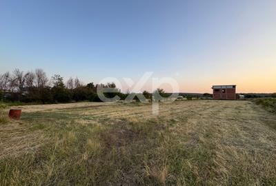 Teren 1650 mp intravilan Trivale - Olteni – cadru natural langa Padure - 1