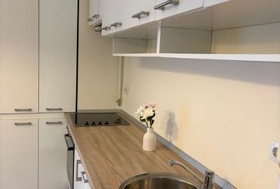 Inchiriere Apartament 2 Camere Iancu Nicolae - 11