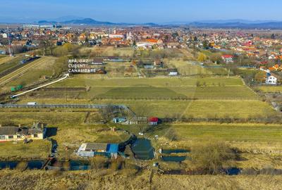 Teren Intravilan 5.000 mp Prejmer -  Strada Preot Ioan Popescu - 2