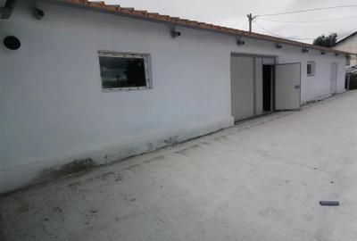 Hala 550mp zona Lunca Cetatuii - Dumbrava - 4