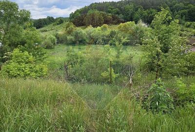 Teren 7,797mp Podis / Calea Moinesti - 1