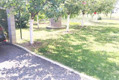 Casa P+1E zona Starzii Iasului -6 ari teren mobilata 219500eur neg - 8