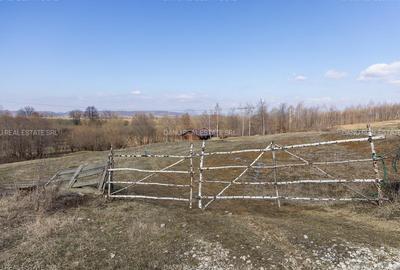 Bran Sohodol,5783 mp,P+E+M-Ideal pensiune /proiect turistic,Comision0% - 10