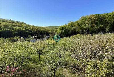 Vand teren intravilan, 2566 mp in Corunca situat intr-o zona linistita si intima - 9