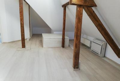 Inchiriere spatiu de birouri intr-o vila interbelica de pe Bulevardul Dacia, - 9