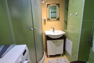 Apartament 2 camere Calea Sagului - 10