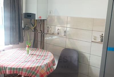 Apartament 2 camere complet mobilat parter 50 mp utili zona Terezian - 6