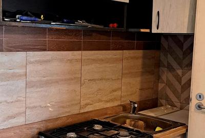 De inchiriat ap cu o camera, Zona Iosefin la casa cu centrala GAZ - 1