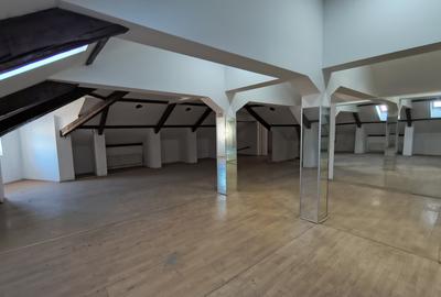 Ultracentral Promendata Stefan cel Mare-cladire interbelica diverse activitati - 11