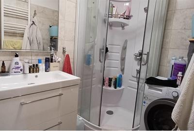 Apartament cochet cu 2 camere Tractoru - 17