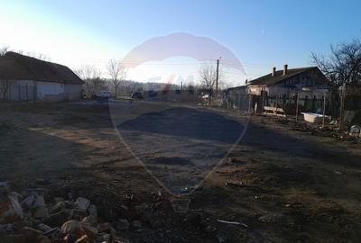 Teren curti constructii 857 mp de vanzare in Pecica , Arad - 5