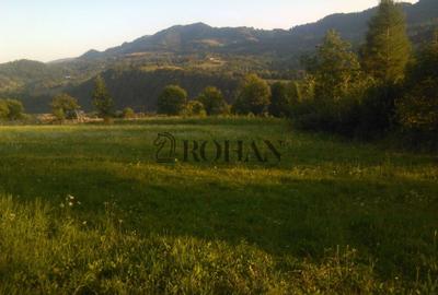 Teren intravilan 5360mp Bistrita Nasaud | Tiha Bârgăului - 9