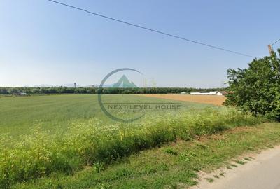 Teren de vanzare Stupini Brasov - oportunitate de investitie - 1