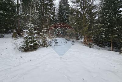 Teren Construcții intravilan de 430 mp, în Est