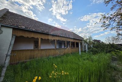 Gospodarie de vanzare in Giulvaz, judetul Timis - 3