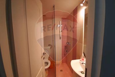 Casă / Vilă cu 7 camere   în zona Bran-Tohanita - 36
