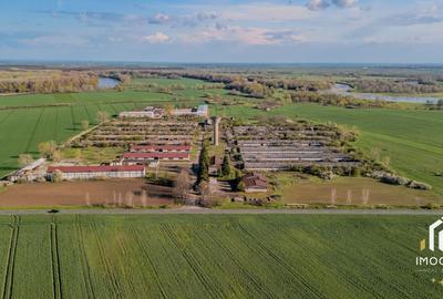 De vanzare Complex Zootehnic Suine Jud. Arad SU 15.30ha, Ferma, Grajd - 10