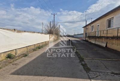 PLATFORMĂ INDUSTRIALĂ 3HA SILOZURI 50M ACCES CFR SÂNNICOLAU MARE - 2