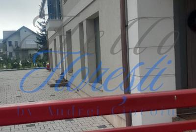 Casă individuală cu 3 camere în Florești