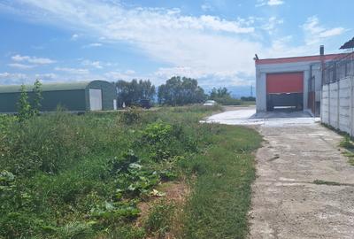 Teren Construcții intravilan de 15000 mp, în Hălchiu