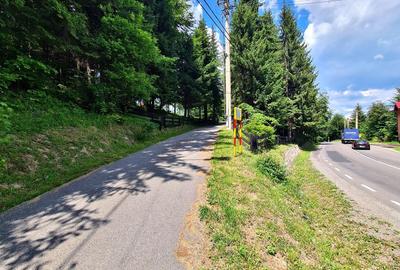 Club/ Restaurant S+P- Paraul Rece Predeal/ Valea Rasnoavei - 10