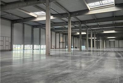 Spatii Industriale - 9500 mp - Logistica - Productie - Depozitare - Distributie - 7