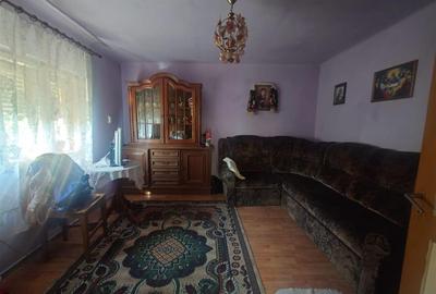 Casa si Teren Criscior - 3