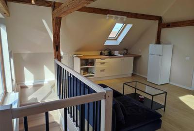 Apartament modern la curte - 11