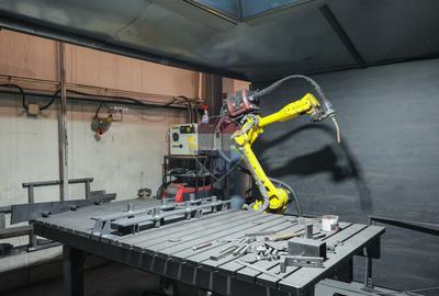Hală în parc industrial Borș 1, teren 2.903 mp, de vânzare - 40