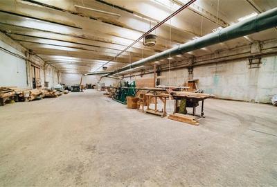 Complex industrial adecvat pentru productie (Gheorgheni,  str. Kossuth Lajos) - 18