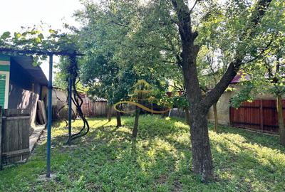 Casa batraneasca de vanzare in Filipesti Bacau - 5