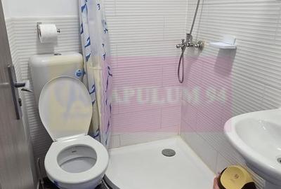 Vila din padure in Valea Doftanei - 21
