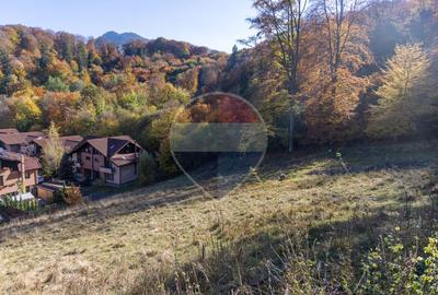 Teren 2,900mp Brasov / Strada Ciresului - 17