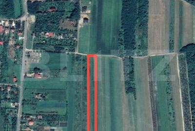 Teren Construcții intravilan de 8575 mp, în Viile Satu Mare