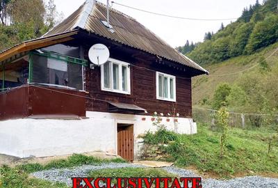 Casă individuală cu 2 camere în Bistra