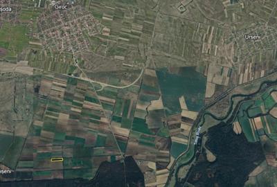Teren agricol extravilan de 18000 mp, în Giroc