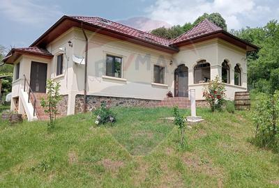 Vanzare casa  4 camere-microferma, cu panouri fotovoltaice - 3